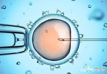供卵代怀生男宝代生包成功